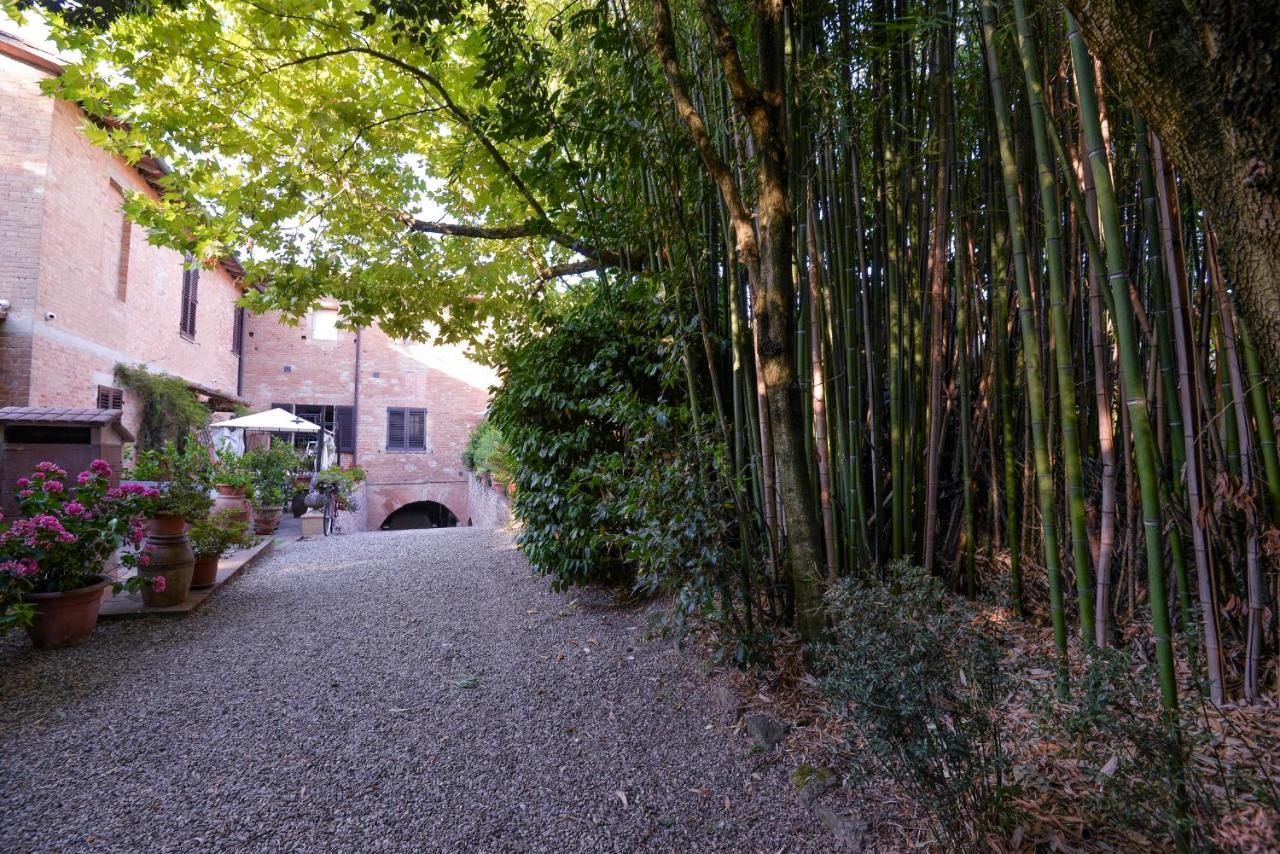 Loft In Antico Mulino Lejlighed Isola d'Arbia Eksteriør billede